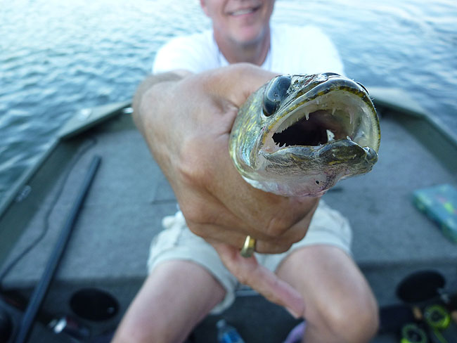 Little or not they still have teeth.JPG